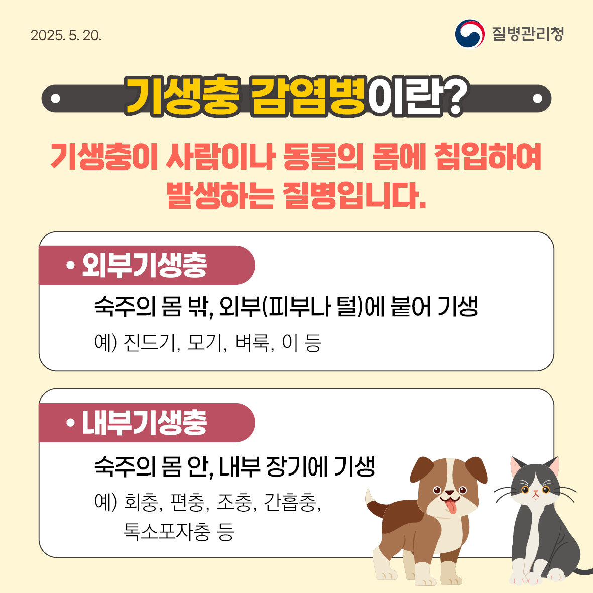 나와 반려동물 모두의 건강을 지키는 기생충 감염병 예방수칙! 이미지 2