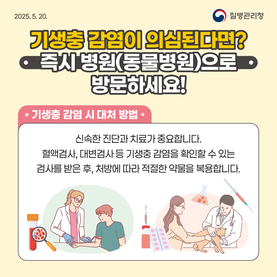 나와 반려동물 모두의 건강을 지키는 기생충 감염병 예방수칙! 이미지 5