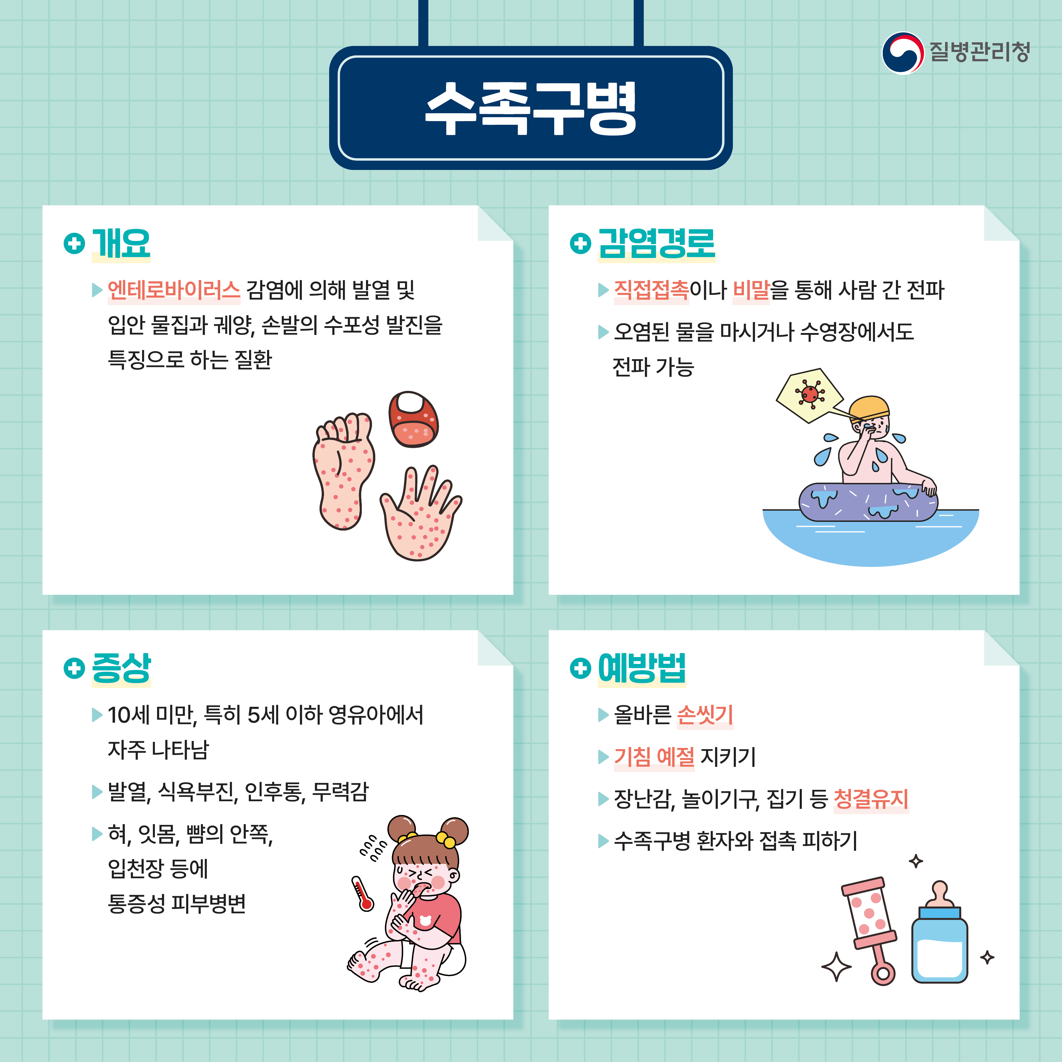 수족구 개요 이미지 2