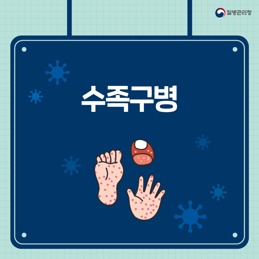 수족구 개요 이미지 1