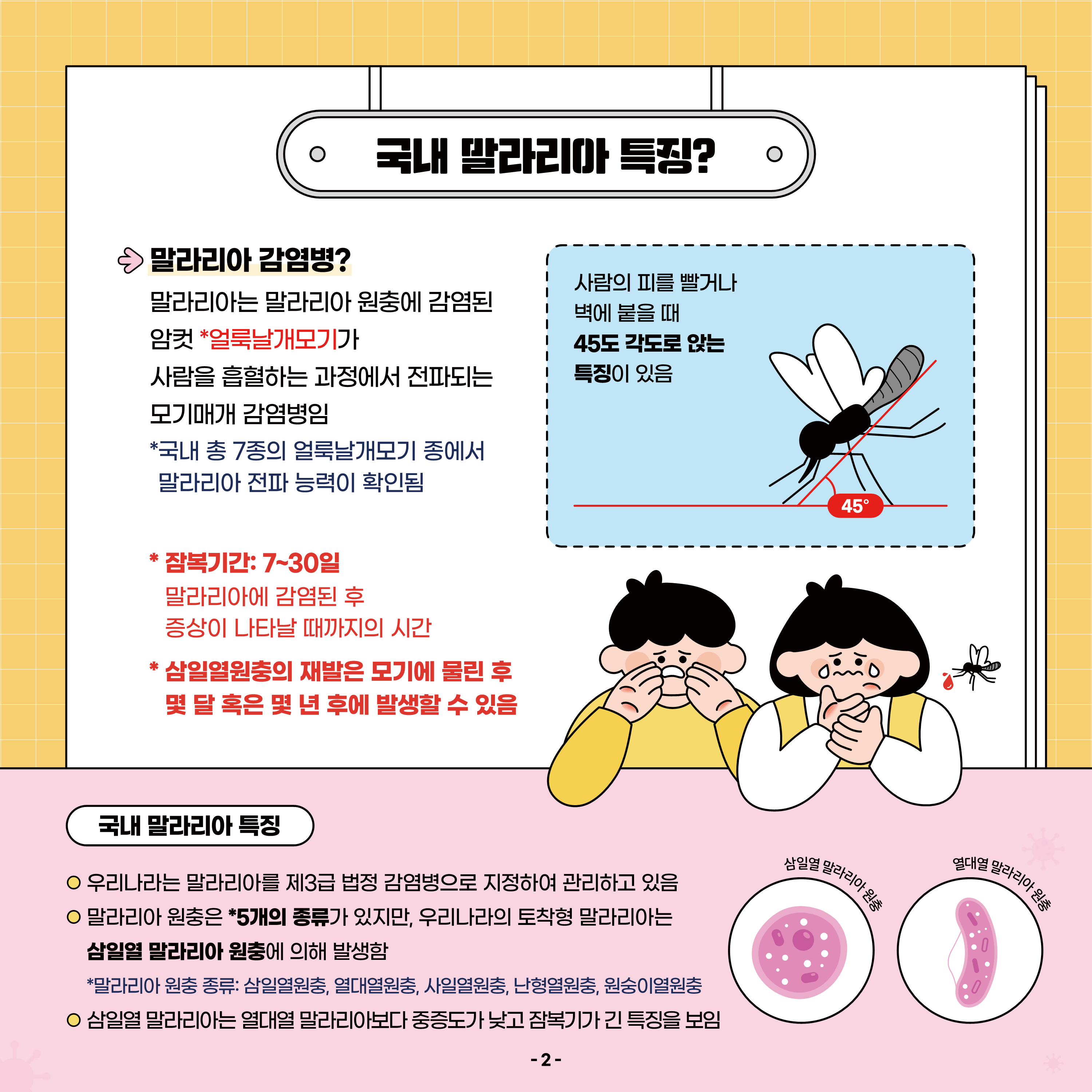 말라리아 예방법 이미지 2