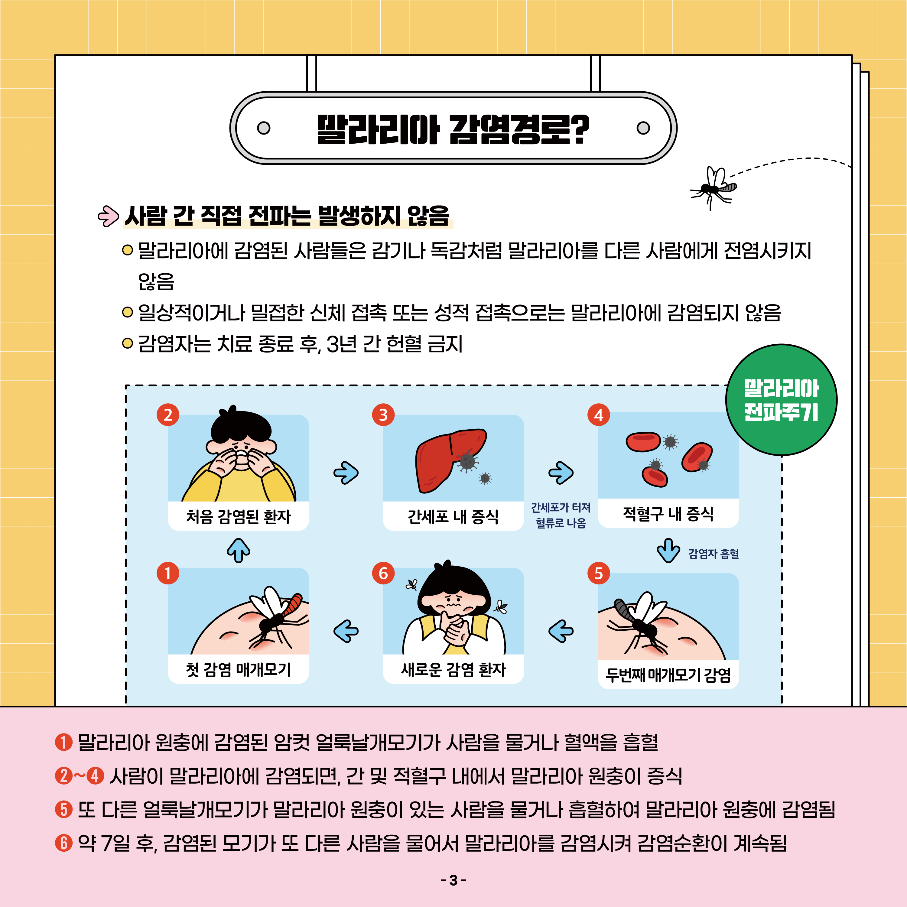 말라리아 예방법 이미지 3