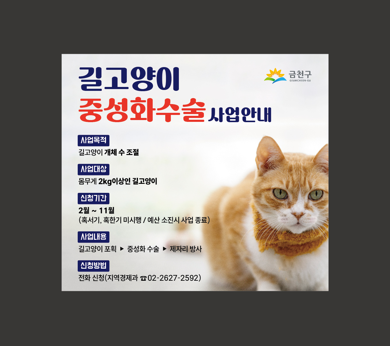 2026년 금천구 길고양이 중성화사업 시행 안내 이미지 1