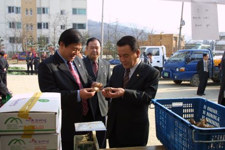 김장채소 직거래 행사 - 괴산군 의 사진20