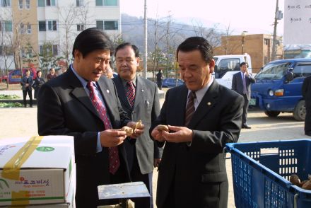 김장채소 직거래 행사 - 괴산군 의 사진21