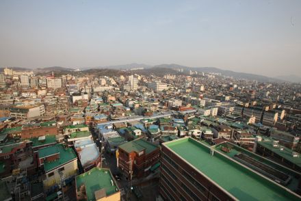 보건소 서울시보고 관련 자료사진 의 사진11
