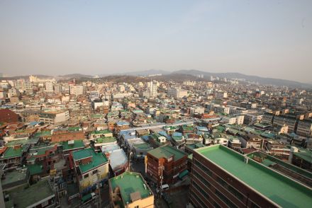 보건소 서울시보고 관련 자료사진 의 사진13
