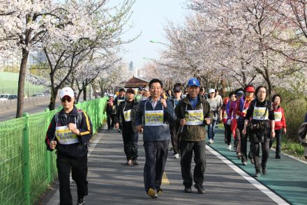 제10회 Happy walking 금천한가족 건강걷기대회(벚꽃축제) 의 사진5