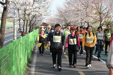제10회 Happy walking 금천한가족 건강걷기대회(벚꽃축제) 의 사진6