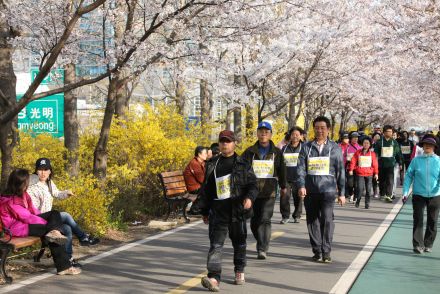 제10회 Happy walking 금천한가족 건강걷기대회(벚꽃축제) 의 사진14