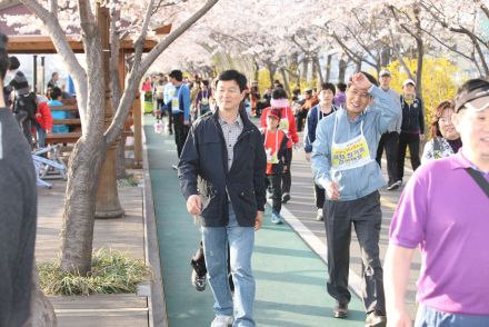 제10회 Happy walking 금천한가족 건강걷기대회(벚꽃축제) 의 사진48