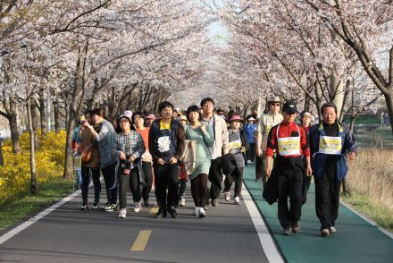제10회 Happy walking 금천한가족 건강걷기대회(벚꽃축제) 의 사진49