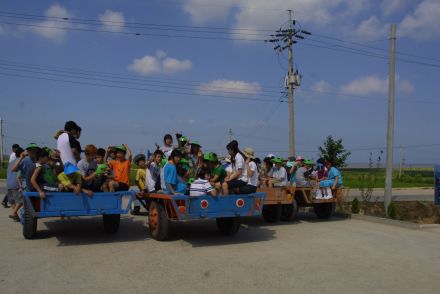 청소년 문화탐방 의 사진