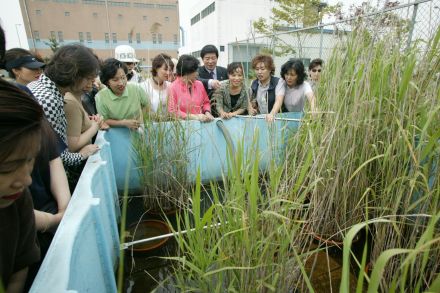 수도권 매립지 견학 의 사진20