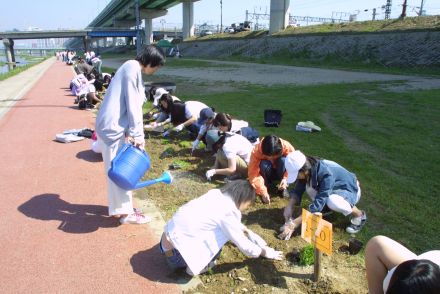 청소년 꽃 심기 자원봉사-금천한 의 사진15