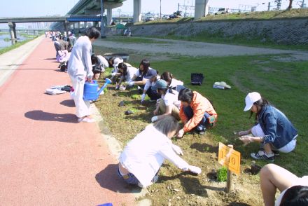 청소년 꽃 심기 자원봉사-금천한 의 사진17