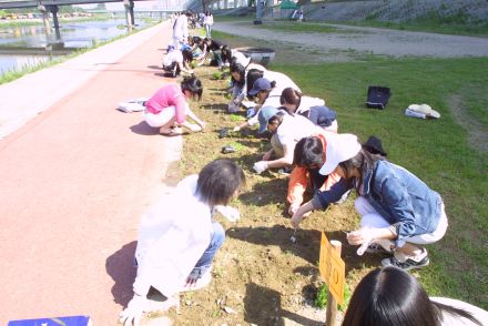 청소년 꽃 심기 자원봉사-금천한 의 사진18