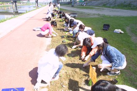 청소년 꽃 심기 자원봉사-금천한 의 사진20