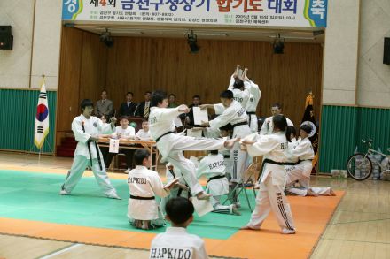 2005 구청장기 합기도 대회 의 사진
