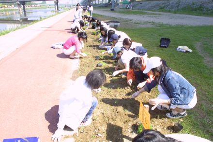 청소년 꽃 심기 자원봉사-금천한 의 사진21