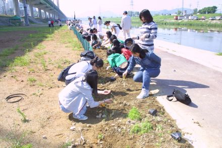 청소년 꽃 심기 자원봉사-금천한 의 사진25