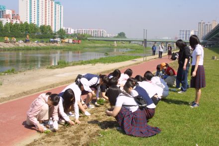 청소년 꽃 심기 자원봉사-금천한 의 사진26
