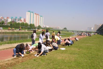 청소년 꽃 심기 자원봉사-금천한 의 사진28