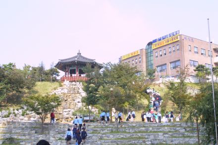 시민대청소 의 사진39