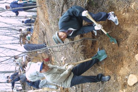 제58회 식목일 행사 의 사진10