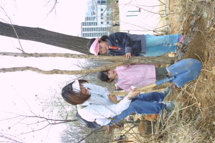 제58회 식목일 행사 의 사진12