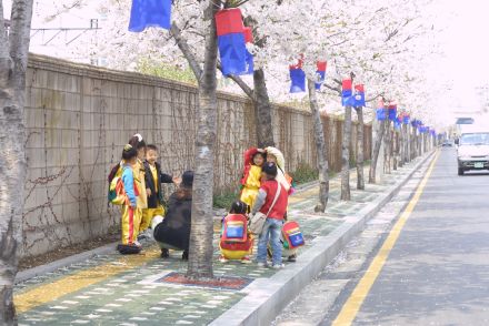 벚꽃축제 (주민마당) 의 사진5