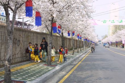 벚꽃축제 (주민마당) 의 사진6