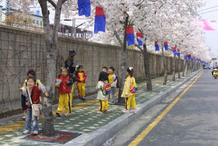 벚꽃축제 (주민마당) 의 사진12