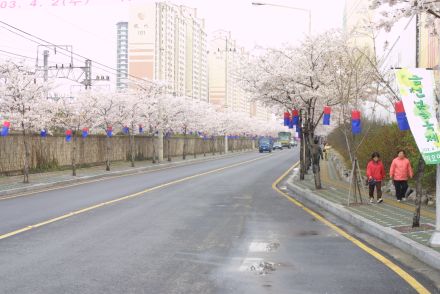 벚꽃십리길 구민걷기대회 의 사진24