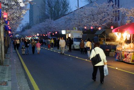 벚꽃축제 (주민마당) 의 사진38