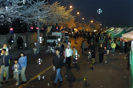 벚꽃축제 (주민마당) 의 사진39
