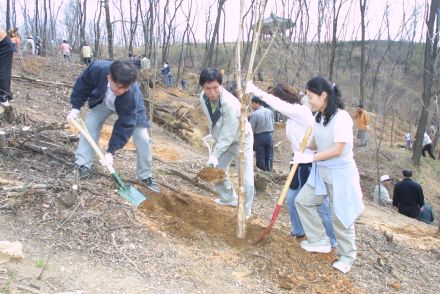 제58회 식목일 행사 의 사진26