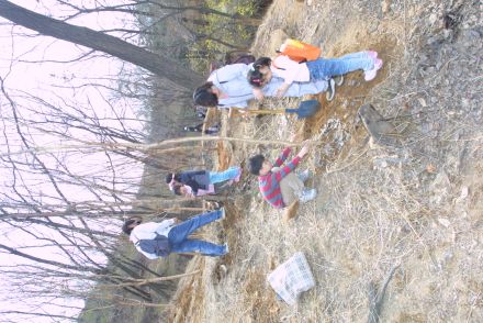 제58회 식목일 행사 의 사진32