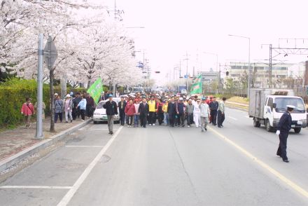 벚꽃십리길 구민걷기대회 의 사진72