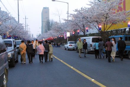 벚꽃축제 (주민마당) 의 사진69