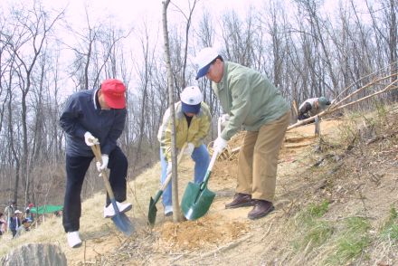 제58회 식목일 행사 의 사진50