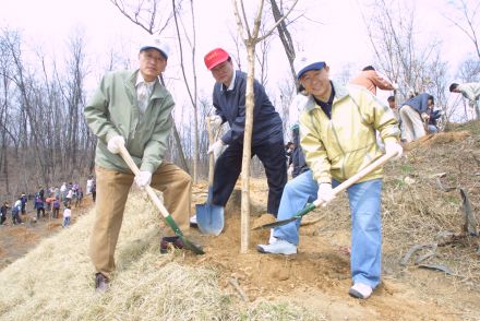 제58회 식목일 행사 의 사진59