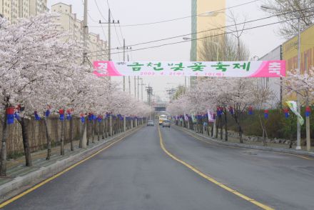 벚꽃십리길 구민걷기대회 의 사진80