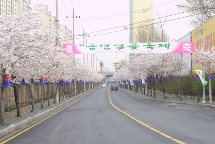 벚꽃십리길 구민걷기대회 의 사진81