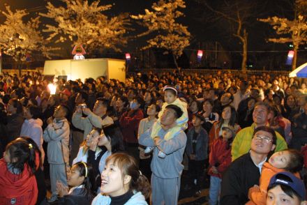 벚꽃축제 불꽃놀이 의 사진