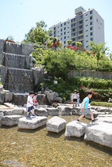 삼성산 시민공원에서 여름을 즐기는 아이들 의 사진37