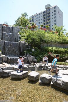 삼성산 시민공원에서 여름을 즐기는 아이들 의 사진38