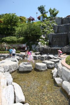 삼성산 시민공원에서 여름을 즐기는 아이들 의 사진39