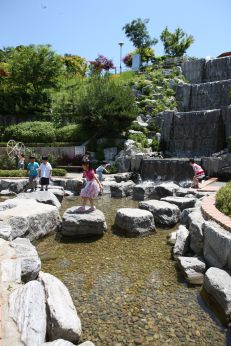 삼성산 시민공원에서 여름을 즐기는 아이들 의 사진40