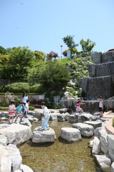 삼성산 시민공원에서 여름을 즐기는 아이들 의 사진43
